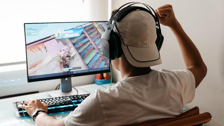 FORTNITE is just like Cabinet Vision